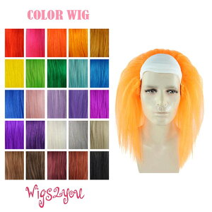  EBbO colorwig-034 }bhTCGeBXg m Ȋw sG [hJbv IsbN  NX}X RXv P fBYj[ f USJ  YN VN c j  