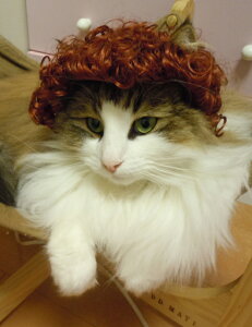 yWigs2youzybgpEBbO//P-001/V[g/J[//IWi/lCi/Beɂ//L//RXv/ybgObY/LpyyVBOXΏۏiz