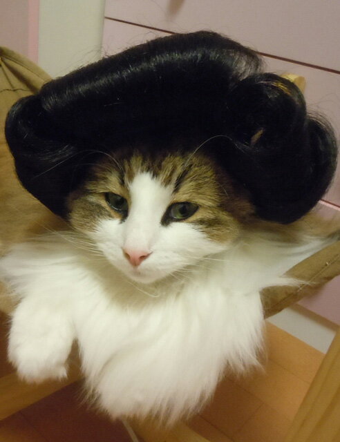 コスプレ かつら - 猫用ペット服の人気商品・通販・価格比較 - 価格.com