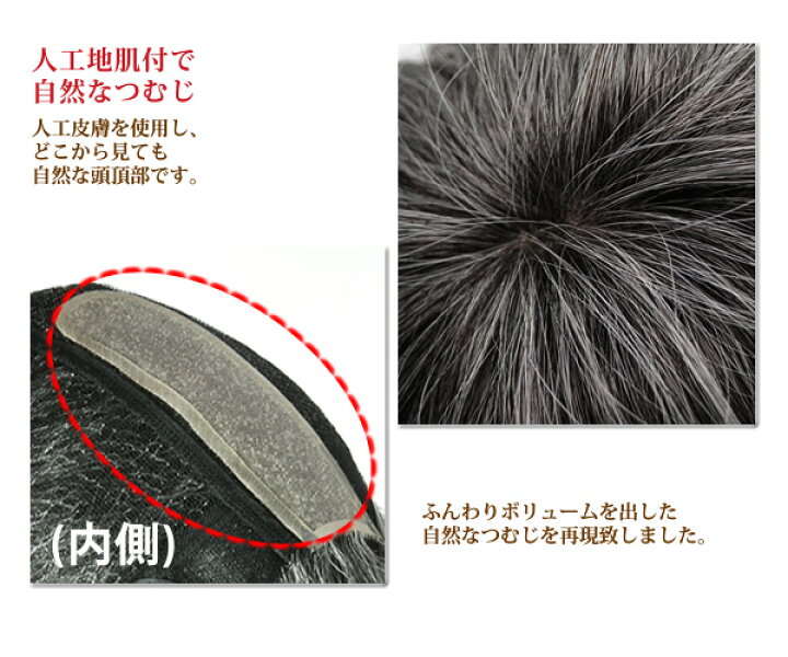 楽天市場 ウィッグ 男性用 メンズ 白髪 医療用 ウィッグ かつら 送料無料 総手植え フルウィッグ しらが グレイヘアー グレーヘアー Dw171set ウィッグ ｗｉｇ ルネス