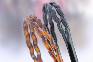 J`[V ɂȂ Ȃ ҂ݖ͗l Ȑf ׍H|Cg