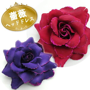 RT[W  Ǝ  w tH[} t[  {