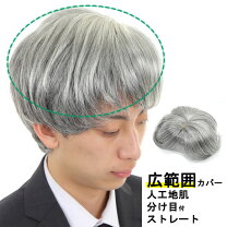 楽天市場】かつら 男性用 白髪の通販 