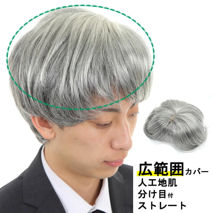 楽天市場 男性用 カツラ メンズウィッグ ヘアピース 白髪 しらが 男性用 メンズ 部分ウィッグ 広範囲カバー 部分ウィッグ ストレート Tk36 ウィッグ ｗｉｇ ルネス