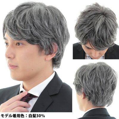 楽天市場 ウィッグ 男性用 メンズ 白髪 医療用 ウィッグ かつら 送料無料 総手植え フルウィッグ しらが グレイヘアー グレーヘアー Dw171set ウィッグ ｗｉｇ ルネス