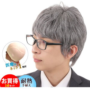 白髪 かつら メンズの通販 価格比較 価格 Com