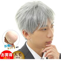 楽天市場】メンズ ウィッグ 白髪（フルウィッグ・全頭かつら｜ウィッグ  
