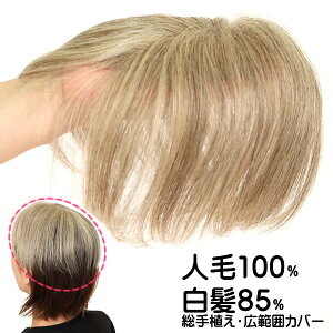 EBbO  щB  l 炪 ~`Eя EBbO |CgEBbO  lC ނJo[ Xg[g O[wA[ l tk1000