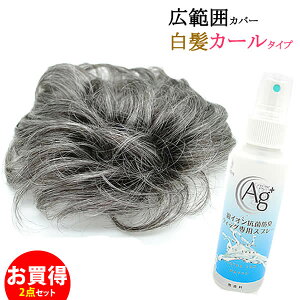 白髪 かつら メンズの通販 価格比較 価格 Com