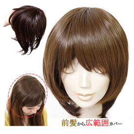 前髪 ウィッグ ヘアピース 耐熱 ストレート 送料無料 かつら 部分ウィッグ ポイントウィッグ つむじカバー 人気 lw06