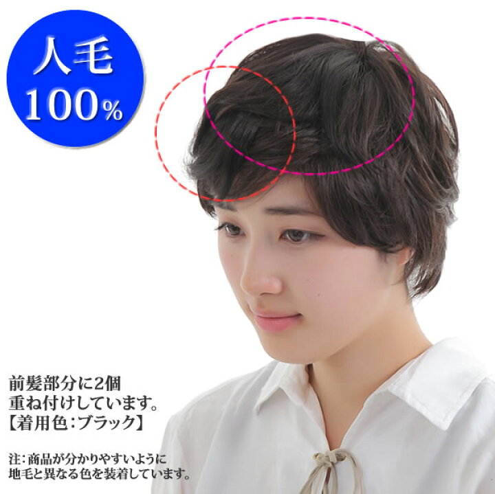 楽天市場】ヘアピース 人毛100％ 総手植え 円形脱毛症 部分ウィッグ 