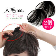 ウィッグ ヘアピース 人毛100％ 総手植え 円形脱毛症 部分ウィッグ ポイントウィッグ 増毛 送料無料 つむ…