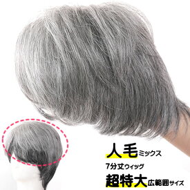 ウィッグ 白髪 薄毛隠し 女性 男性 人毛 しらが 円形脱毛症 部分ウィッグ ポイントウィッグ 増毛 人気 つむじカバー グレーヘアー 人毛ミックス 七分丈ウィッグ wig-sp301