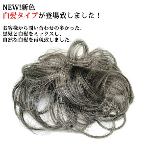 ヘアピース かつら 白髪の通販 価格比較 価格 Com ヘアピース かつら 白髪の通販 価格比較 価格 Com