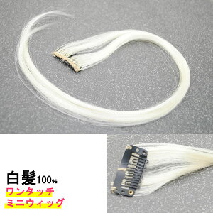 EBbO wAs[X  炪 Jo[ ~`Eя EBbO |CgEBbO  щB  ނJo[ O[wA[ OCwA[ kz5w