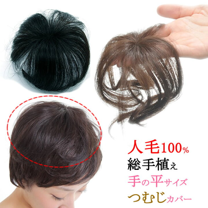 楽天市場】ウィッグ 人毛 ヘアピース トップ 人毛100％ 部分ウィッグ 