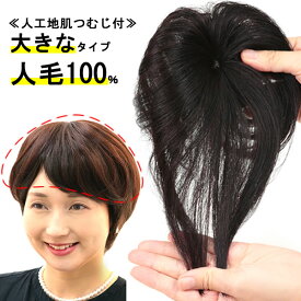 ヘアピース 人毛100％ 円形脱毛症 部分ウィッグ ポイントウィッグ 増毛 人気 つむじカバー ストレート白髪 9008a