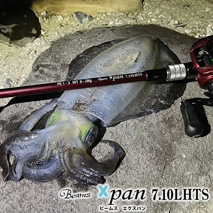 楽天市場】フィッシュマン Beams Xpan7.10LHTS ビームス エクスパン 