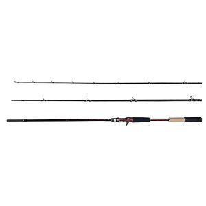 tBbV} Beams inte9.8L r[XCe9.8LyFishmanz