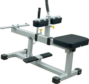 WILD FIT(ChtBbg) J[tCYyimpulse/CpXz W Ɩp g[jO}V g[jOx` tBbglX 