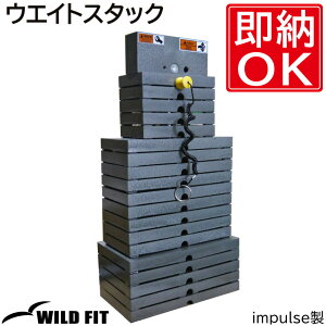 EGCgX^bN (200|h) [impulse/CpX]W g[jO}V Ɩp  [WILD FIT ChtBbg]