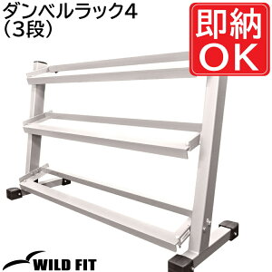 WILD FIT(ChtBbg) _xbN4 (3i) yimpulse/CpXz W Ɩp g[jO}V _x _xbN [ 