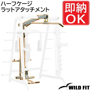 n[tP[Wbg - A^b`g yimpulse/CpXz W bgv [CO Ɩp g[jO}V tBbglX [WILD FIT ChtBbg]