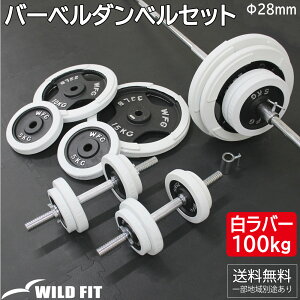 o[ o[x _x Zbg 100kgEGCgg[jO ؃g _x o[x ώ g[jO x`vX SA[ [WILD FIT ChtBbg]