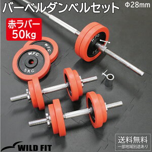 50kg ダンベルセット」の人気商品一覧 | 安い商品を通販サイトから探す 