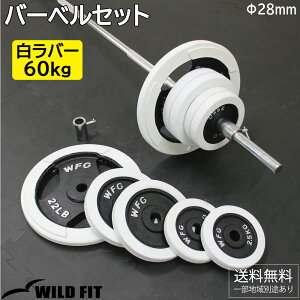 o[ o[x Zbg 60kg J[t ؃g o[x EGCg g[jO x`vX [WILD FIT ChtBbg]