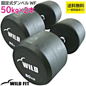 �Œ莮 �_���x�� 50kg WF 2�{�Z�b�g �y��������s�z�������� �W���_���x�� �Z�b�g �؃g�� 2�Z�b�g �g���[�j���O ���� �w�� �x���`�v���X [WILD FIT ���C���h�t�B�b�g]