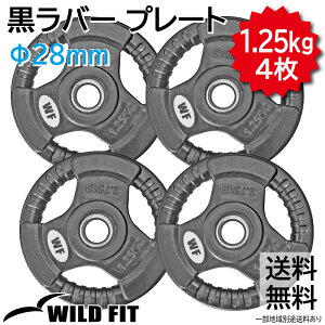 New o[v[g 1.25kg (4) sԕiEst_x o[x ؃g g[jO x`vX tBbglX [WILD FIT ChtBbg]