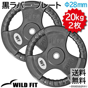 New o[v[g 20kg (2) sԕiEst_x o[x ؃g g[jO x`vX tBbglX [WILD FIT ChtBbg]