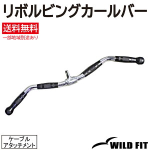 {rOJ[o[ (N_)bgvo[  ؃g g[jO P[uA^b`g x`vX bgv_E A^b`g [WILD FIT ChtBbg]