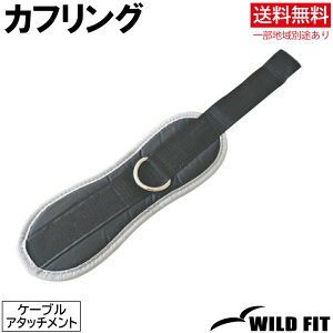 P[u^pJtO `OXց⑗ ؃g g[jO _x o[x x`vX tBbglX A^b`g [WILD FIT ChtBbg]