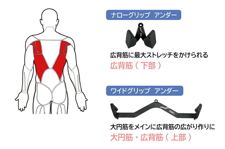 楽天市場】バックマッスルグリップ (5種)送料無料 筋トレ トレーニング 