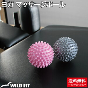 K }bT[W{[ 2Zbg (sNEO[)ˋN c{ oX {[ GNTTCY }bT[W {[ seBX ɋC gQgQ  [WILD FIT ChtBbg]