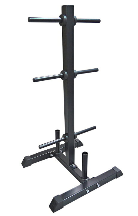 Wild fit ワイルドフィット プレート Wildfit 10kgプレート2枚 28mm 用 WILD FIT ワイルドフィット オリンピックプレート 25kg 2枚