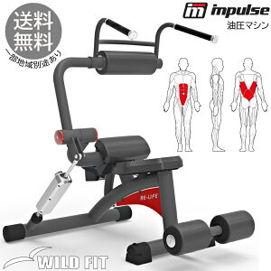 y܂pbNz AuN`EobNGNXeV () W ItBX ^ nr   g[jO}V  tBbglX [WILD FIT ChtBb