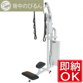 背中のびるん (ムービング) [クリーム]送料無料 ジム オフィス 運動器具 リハビリ 高齢者 機能訓練 スパイラル トレーニングマシン バネ ストレッチ [WILD FIT ワイルドフィット]