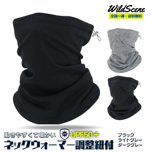 yzWild Scene lbNEH[}[ Y ~p h h g  N 傫 O Lk / AEghA X|[c oCN ނ Xm[{[h oR St ɍœK