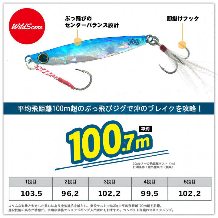 楽天市場 セール ルアー メタルジグ セット 送料無料 ジグ 5個 セット シリーズサイズ展開 7g 10g 15g 18g 22g 30g 40g シーバス ヒラメ ジグサビキ 釣り用品 釣り具 釣具 釣り さびき釣り Wild Scene Store 楽天市場店