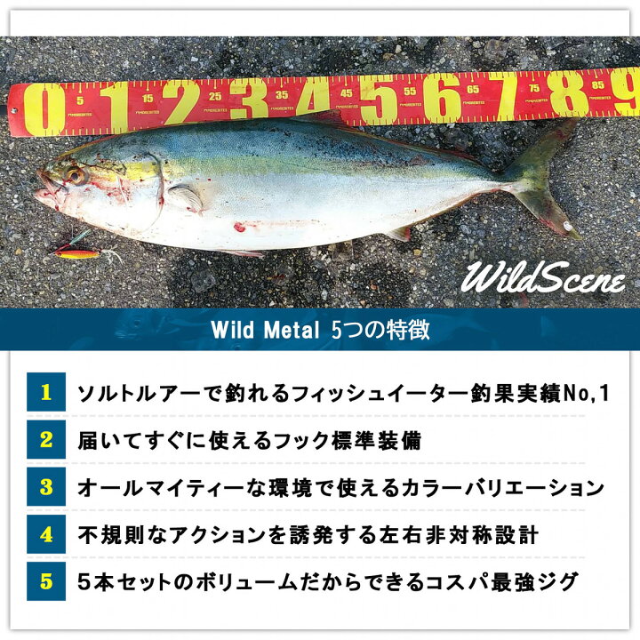 楽天市場 セール ルアー メタルジグ セット 送料無料 ジグ 5個 セット シリーズサイズ展開 7g 10g 15g 18g 22g 30g 40g シーバス ヒラメ ジグサビキ 釣り用品 釣り具 釣具 釣り さびき釣り Wild Scene Store 楽天市場店