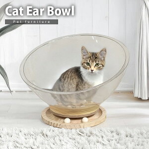 L̃{[ {E ^ B ybgp ybgƋ Lpi  ysz