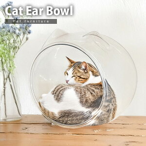 L̃{[ {E L^ B ybgp ybgƋ Lpi  ysz