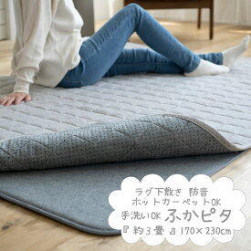 送料無料 防音 ふかふか下敷き専用 ラグ ふかぴた 170cm×230cm 3畳用 1K 防音マット カーペット 床暖房対応 ホットカーペット カバー フカピタ ふわぴた 丸洗いok ウレタン 洗える イブル ラグ 厚手 ふわピタ ふかピタ【代引き不可】