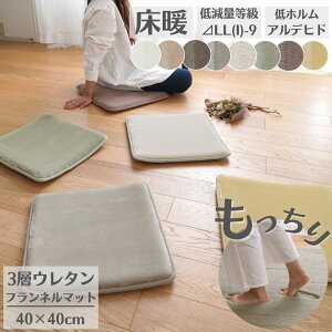 `FApbh 􂦂 tl {u݁vJ[ k `FA}bg CXp ᔽ  h zAfqh ~ 40×40cm ` lp  ɂ E^ 