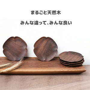 ؐ R[X^[  2 2_Zbg 2 蕨 v[g  ߃TCY