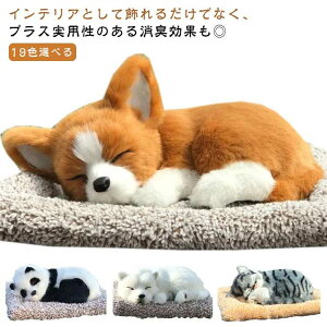 u  ԓu RNV ANZT[ CeA  ԗp i G  ʂ L ԓp p ԗp CeA XgX