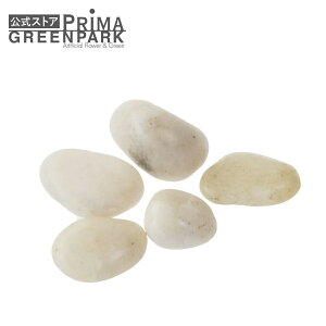 o[bN 2.5kg  ϗtA  t[AWg   A C~e[V CeAO[ A[gO[ Mtg v[g j fBXvC